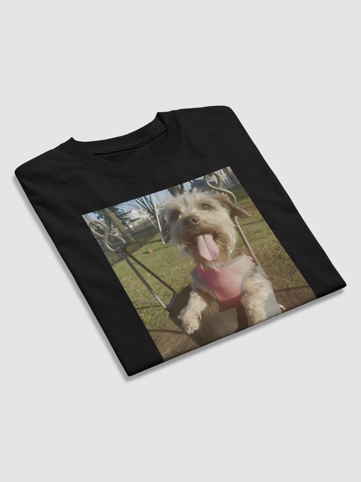 Chevy Swing product image (4)