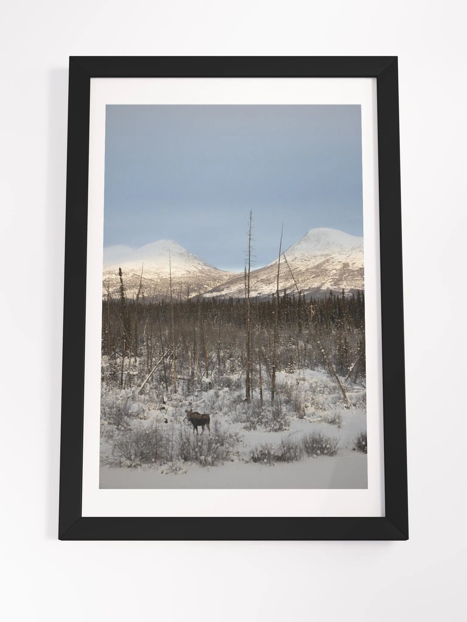 Moose and Mountains product image (4)