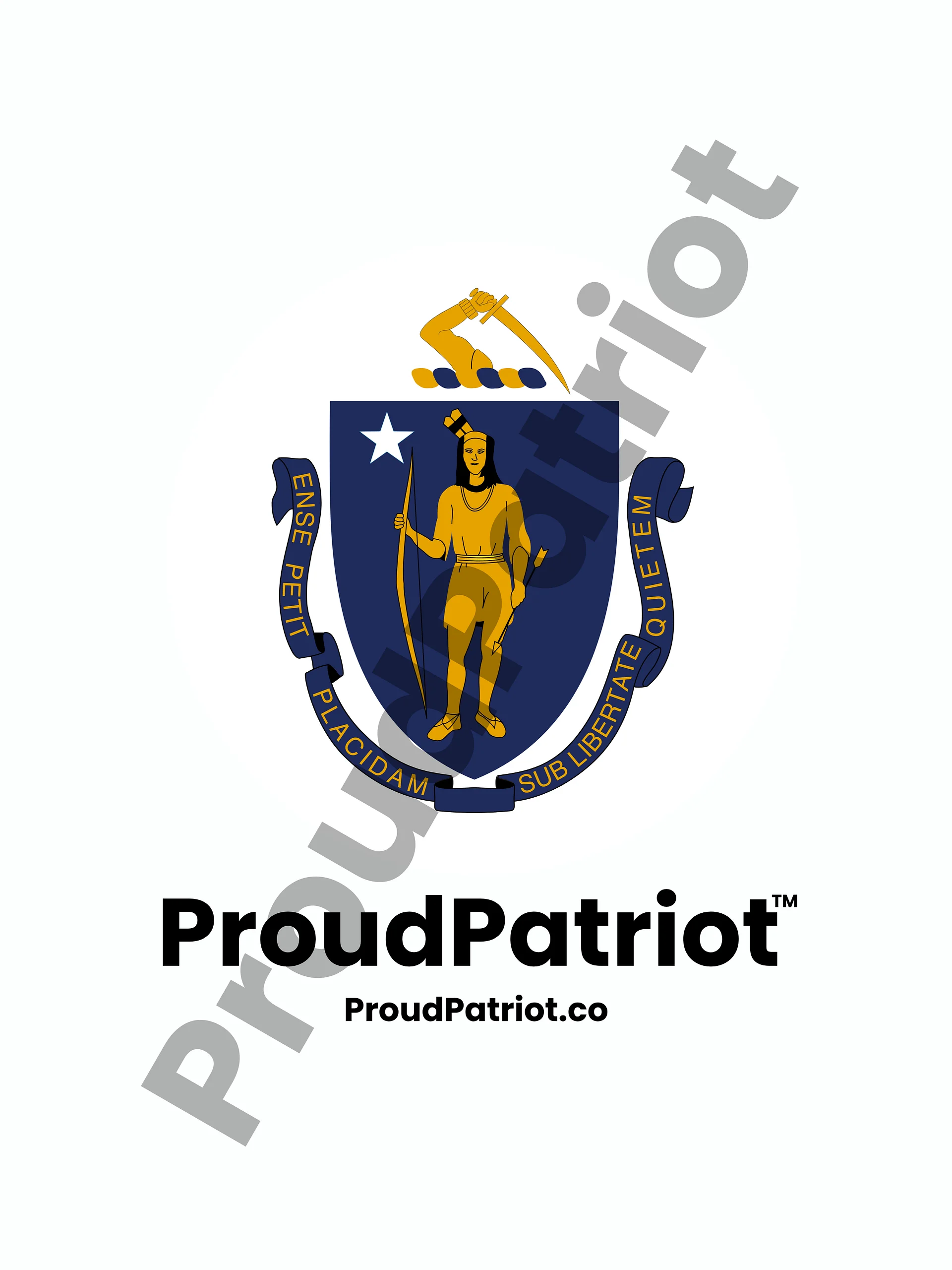 Massachusetts Proud Screensaver product image (1)