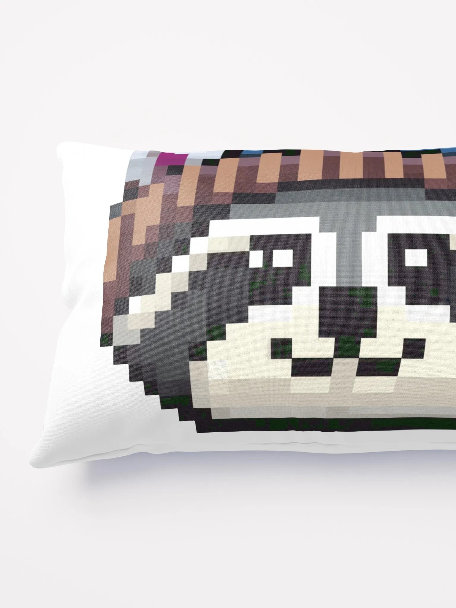 Trash Bandit Pillow product image (7)