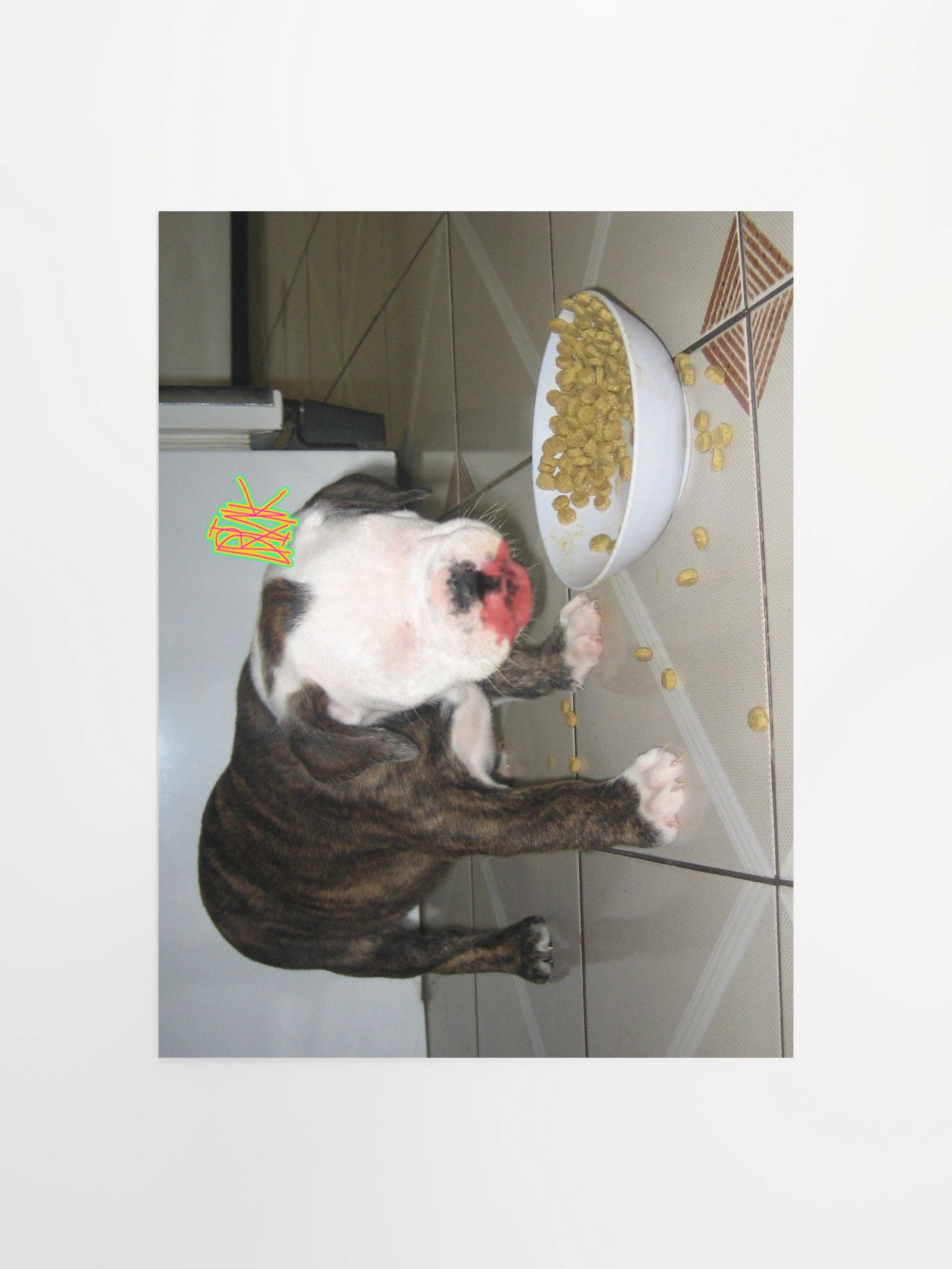 DRINK poster product image (1)