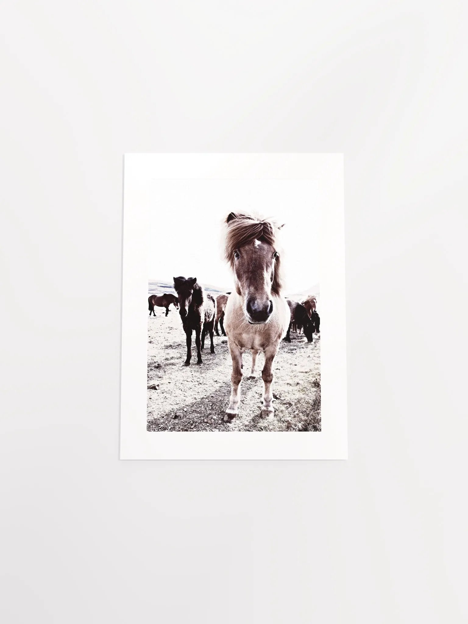 Iceland Horses Passepartout Print product image (32)