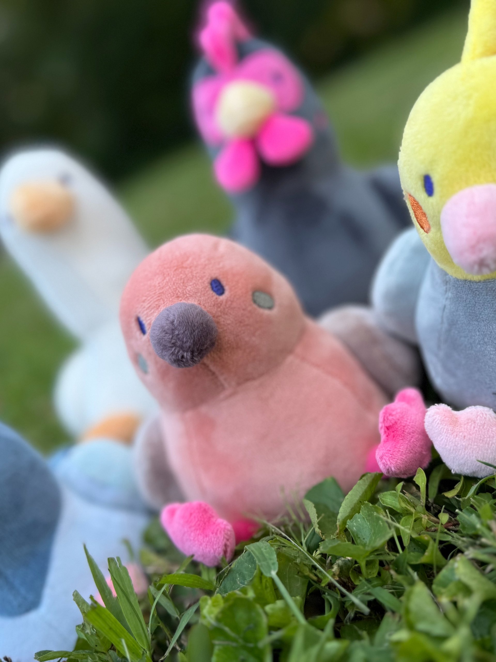 Mourning Dove BORB Plush (Pre-Order) product image (4)