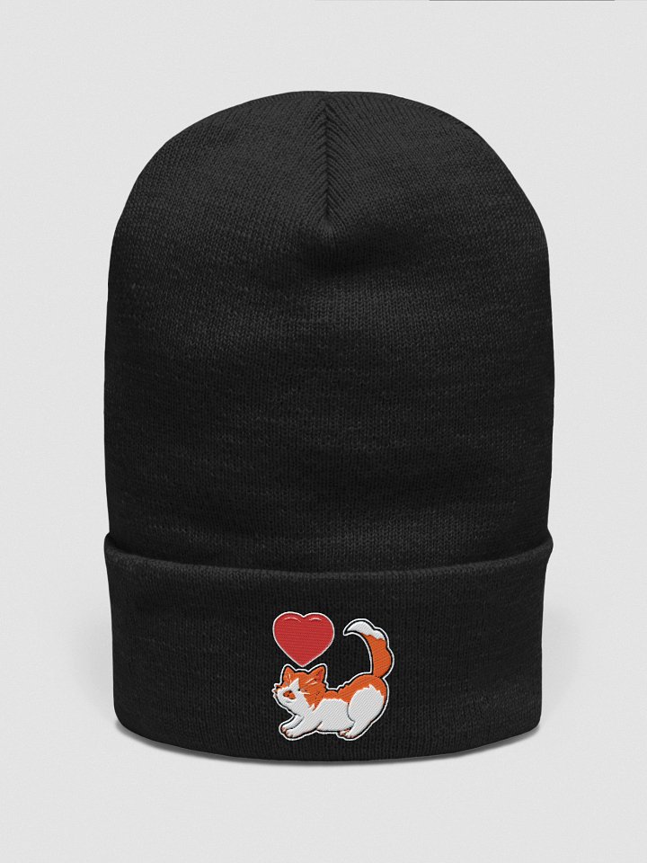 Beanie product image (1)