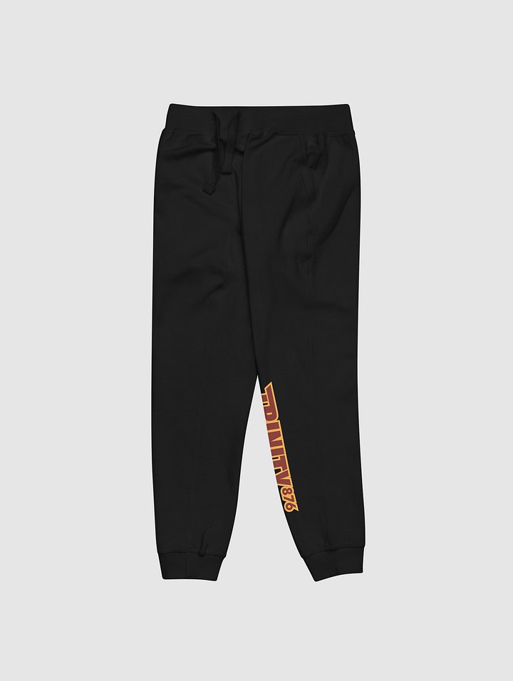 [trinitytrailerparkboys] Unisex fleece sweatpants product image (2)