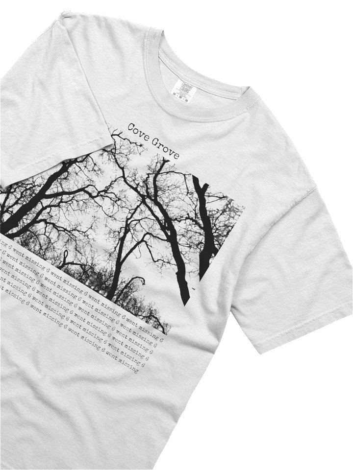 6 went missing tee product image (2)