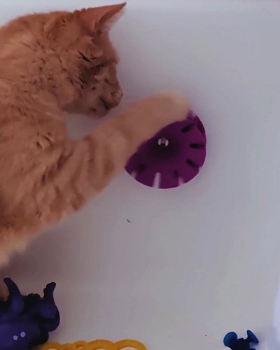 Happy Caturday!

Aaron's always been an investigative cat, but this is the first time I've seen him do this.

I'm going to be...