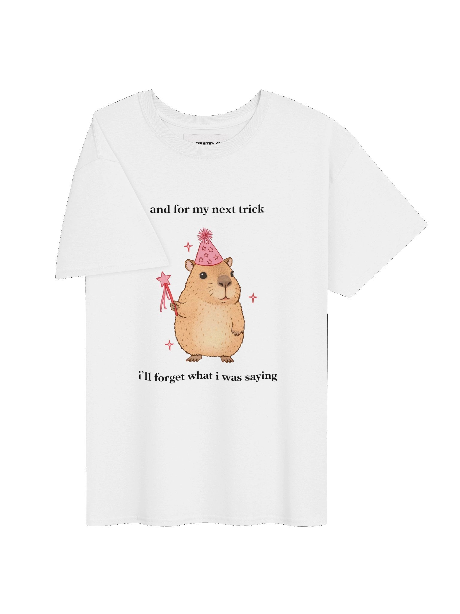 Magic Cabybara product image (3)