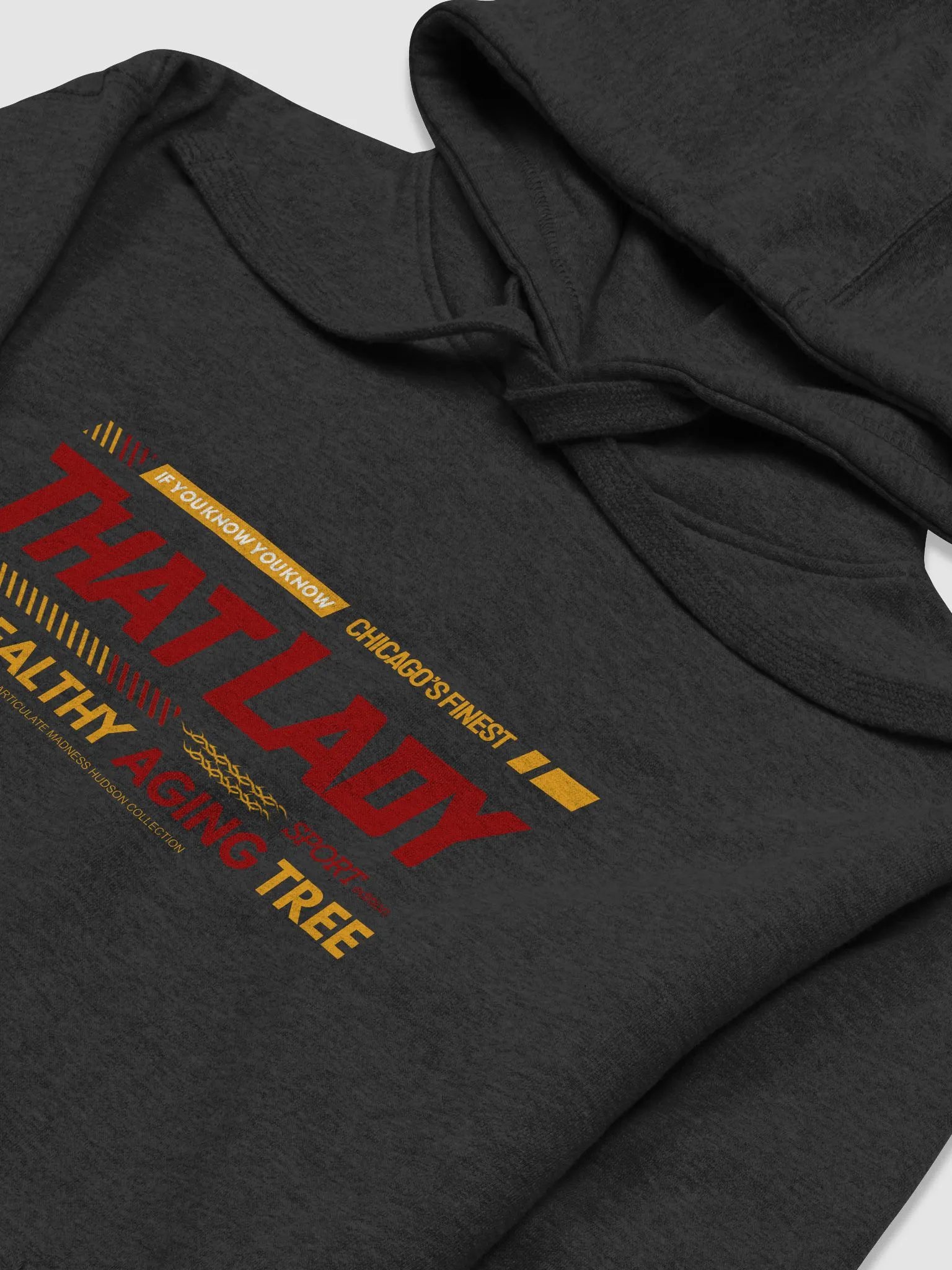 That Lady Chicago Hoodie (Fall Edition) product image (3)