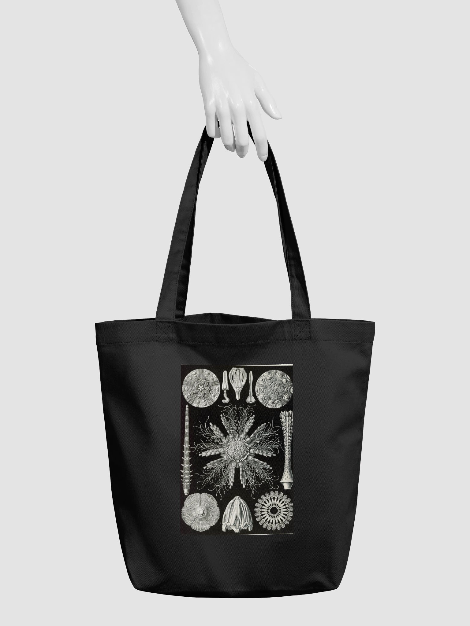 Sea Urchins Vintage Scientific Illustration Tote Bag product image (3)