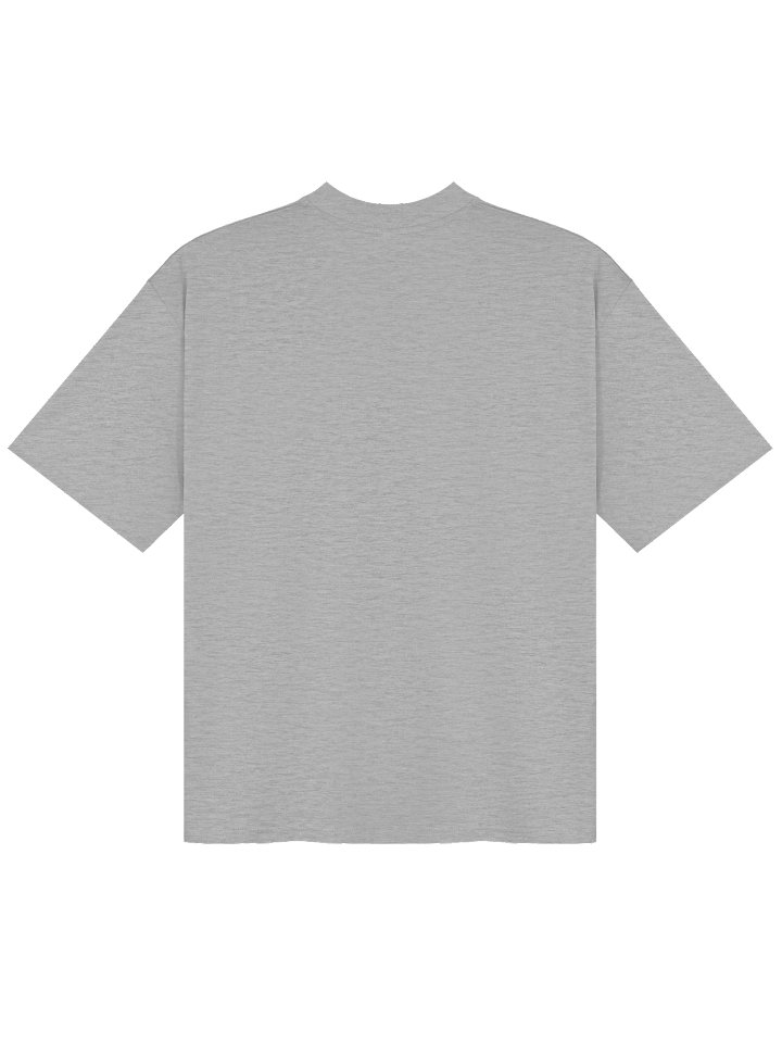 The truth on a shirt (gray) product image (2)