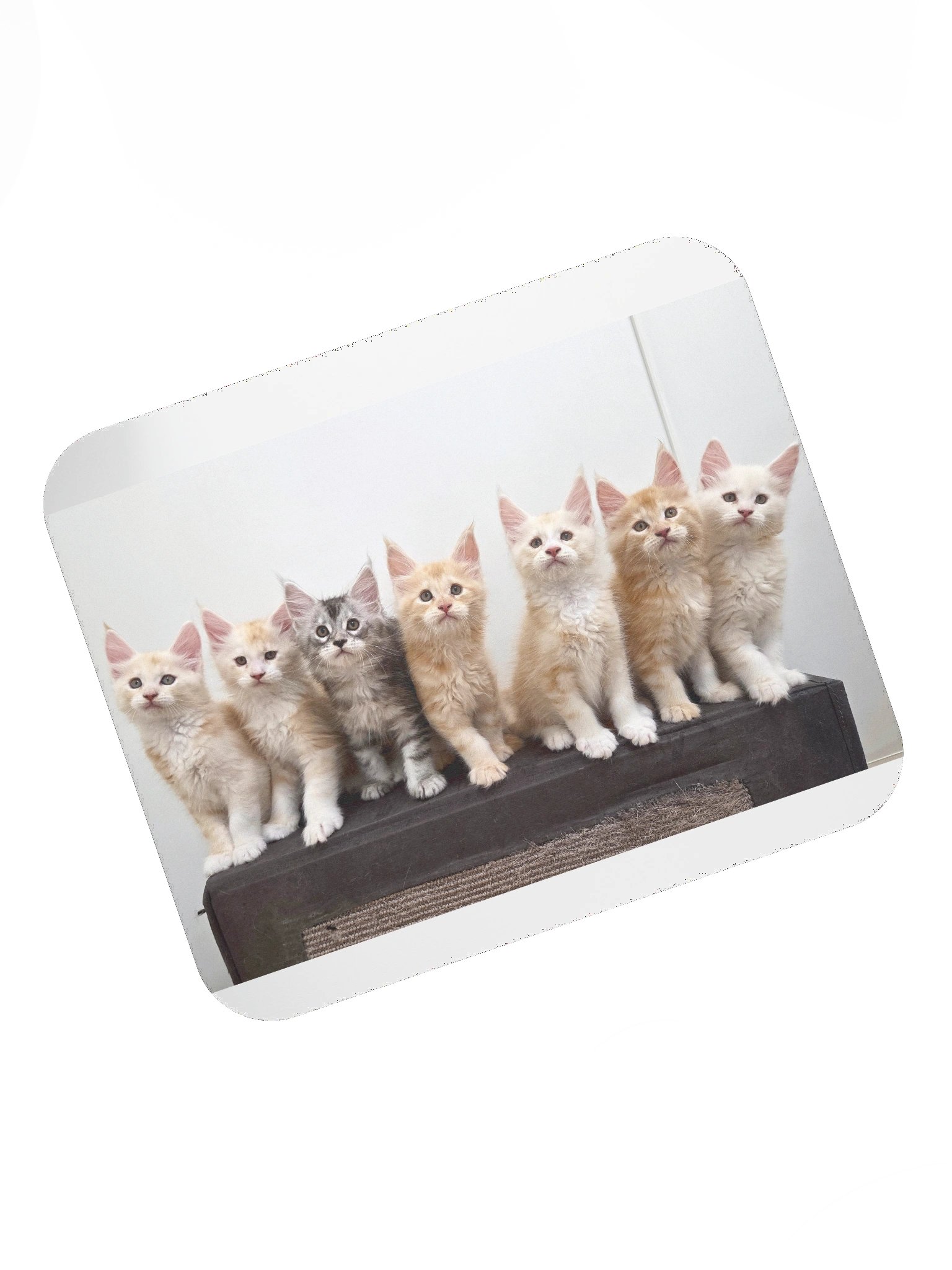 Freya's Kittens - Mouse Pad product image (7)