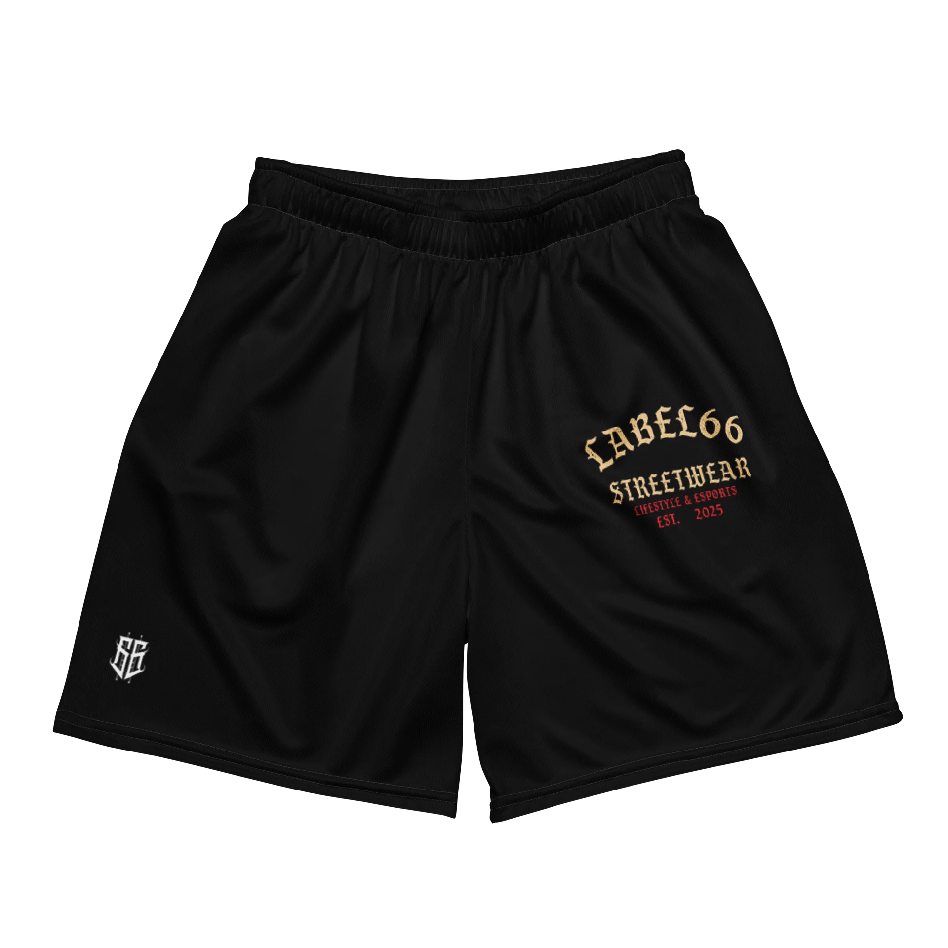 66 Athletic Mesh Shorts product image (1)