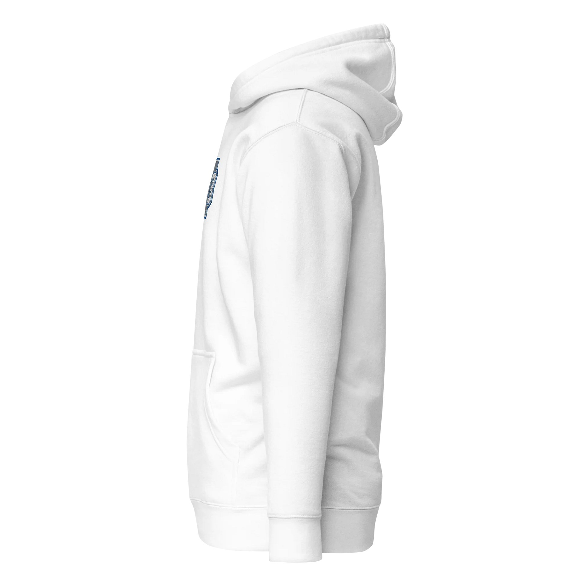 Core 313 Hoodie #2 product image (4)