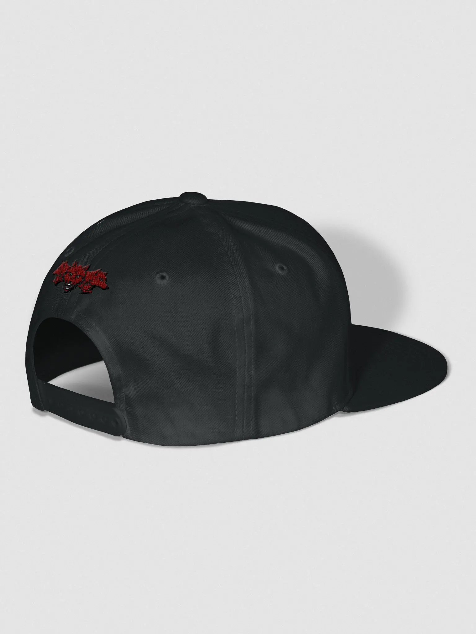 Reverse Logo Hat product image (3)