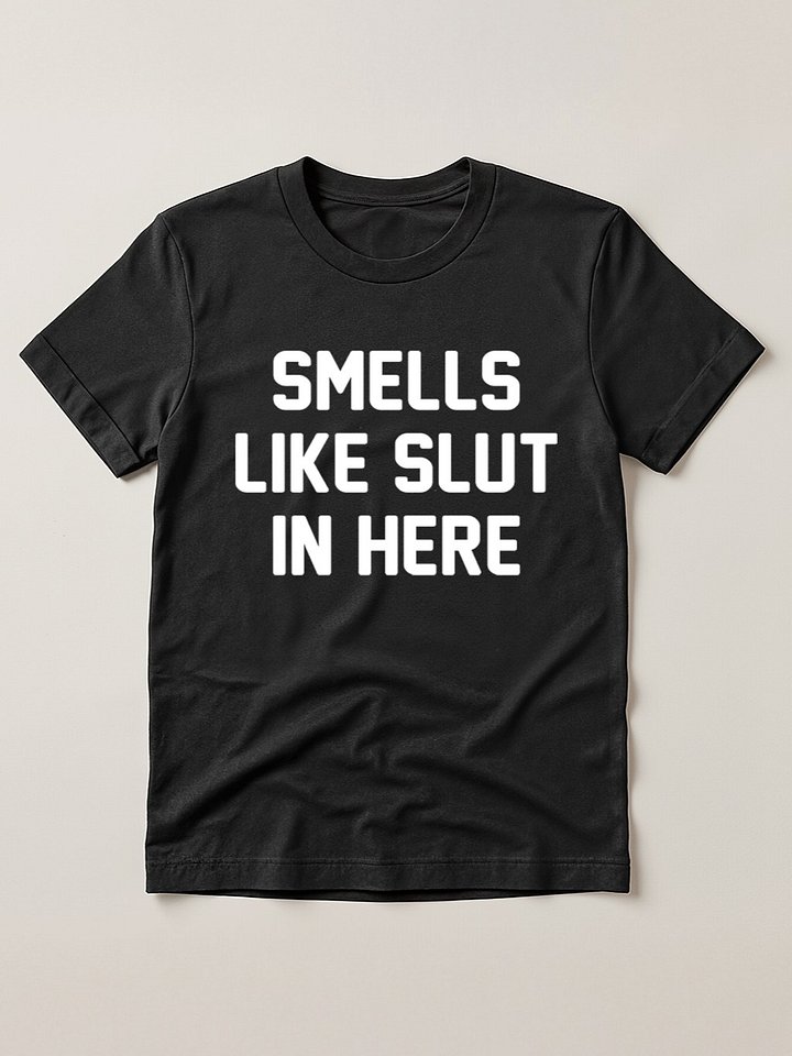Smells Like Slut In Here Offensive Adult Humor T-Shirt product image (1)