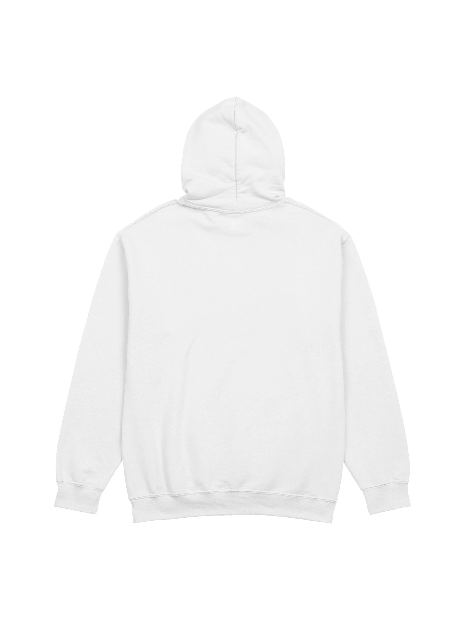 WISH IT. WANT IT. DO IT. (white) — HOODIE product image (2)