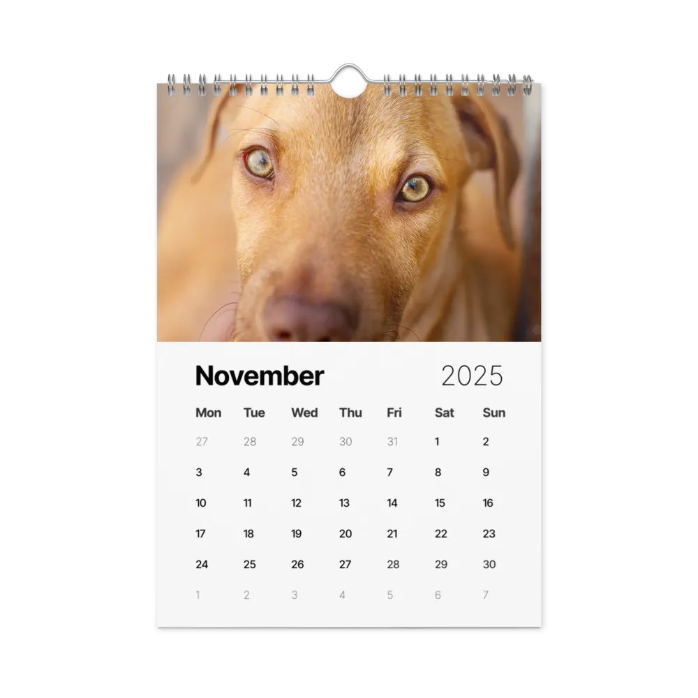 The first year - 2025 Calendar product image (11)