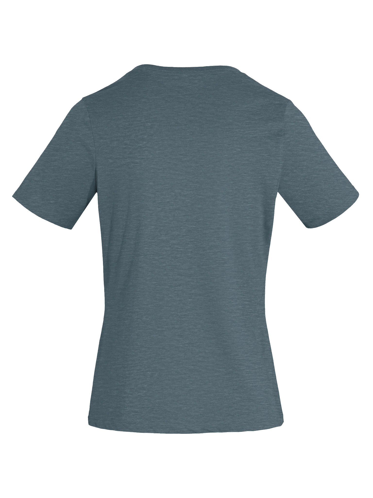 BP&F The Knight and the Moth Coverage | V-Neck Tee product image (7)