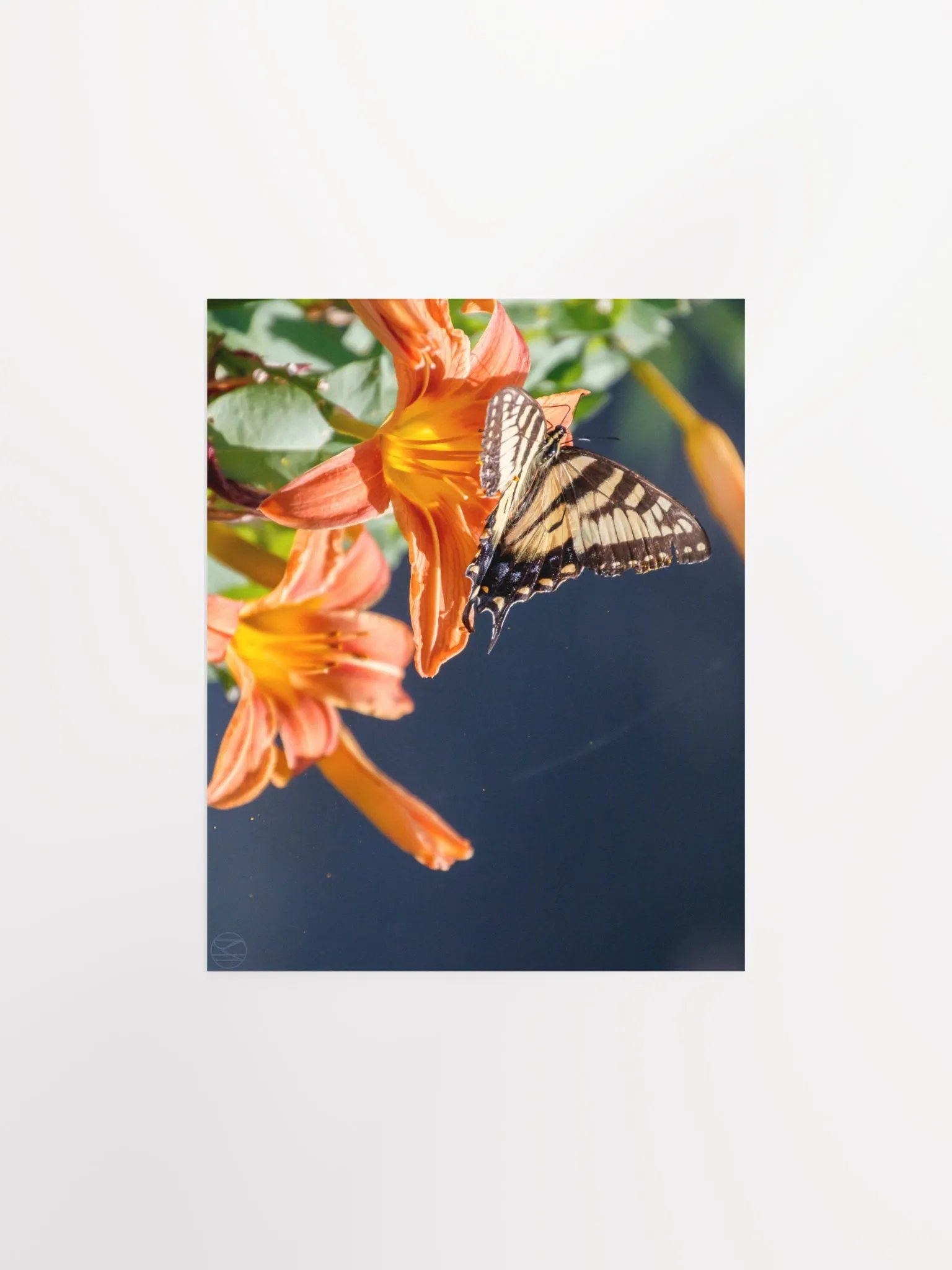 At Rest Print product image (2)