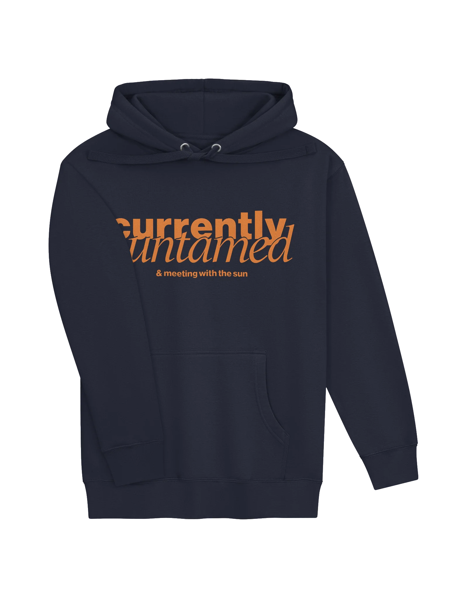 Currently Untamed Hoodie product image (3)