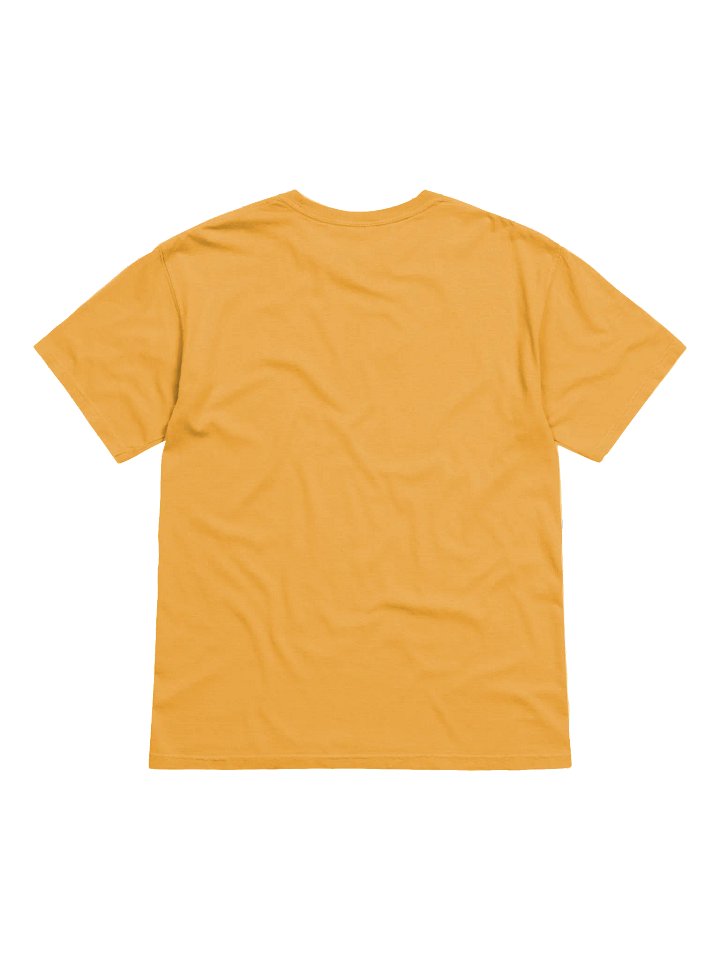 P as in president 2 garment-dyed heavy weight t-shirt by dark alphabet product image (2)