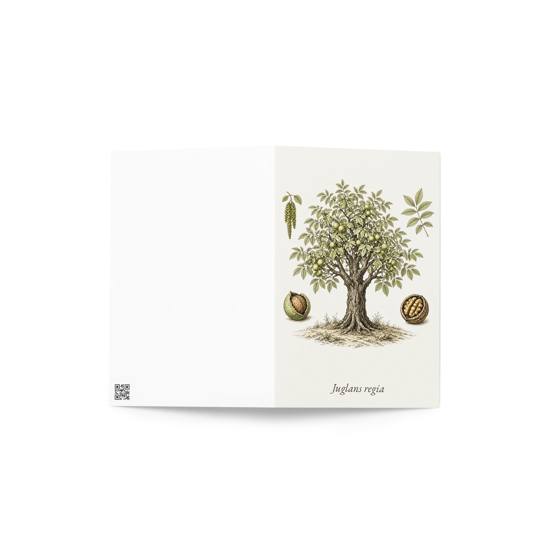Vintage Botanical Walnut Greeting Card product image (4)