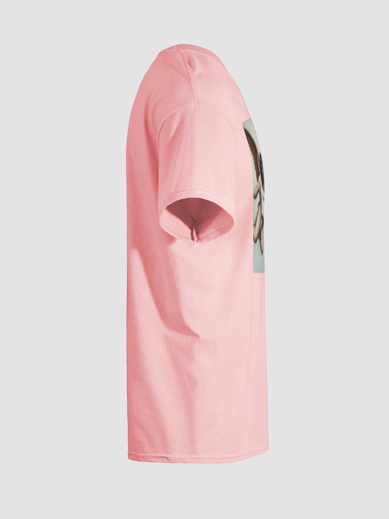 Ape Angels product image (16)