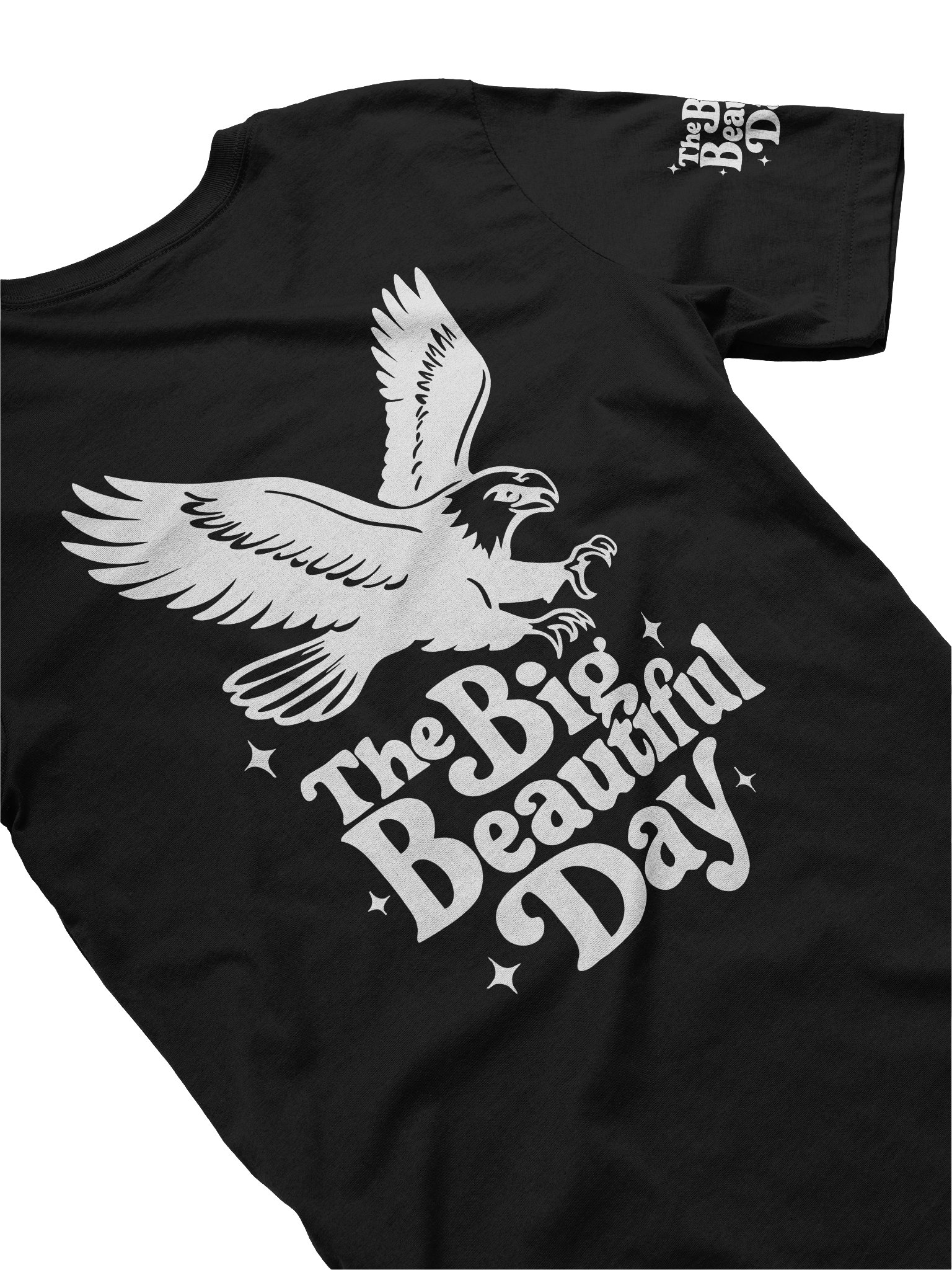 Soaring Big Beautiful Day Tee | Bella+Canvas product image (4)