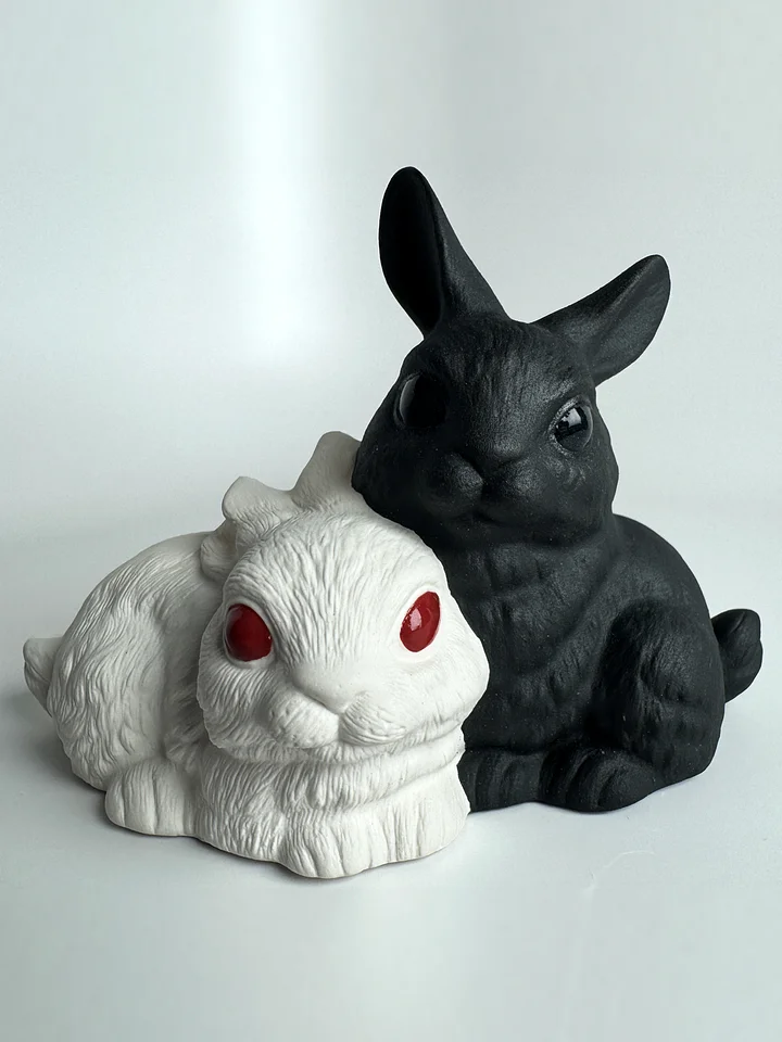 Dual Rabbits product image (1)