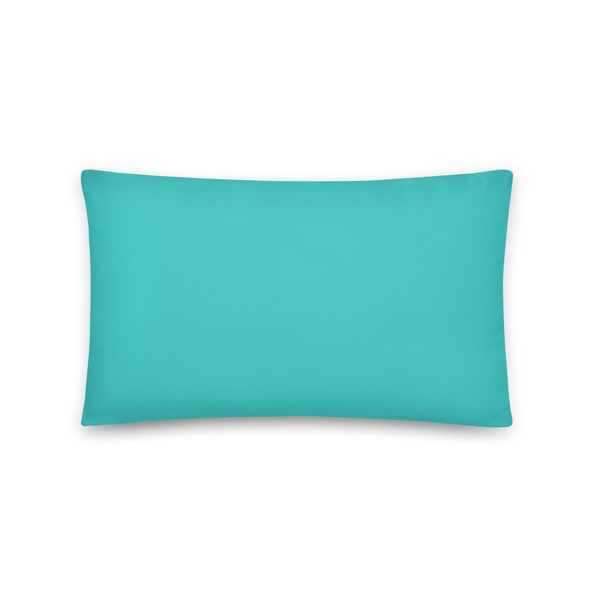 Seafoam Chicago Landie Adulting Pillow product image (2)
