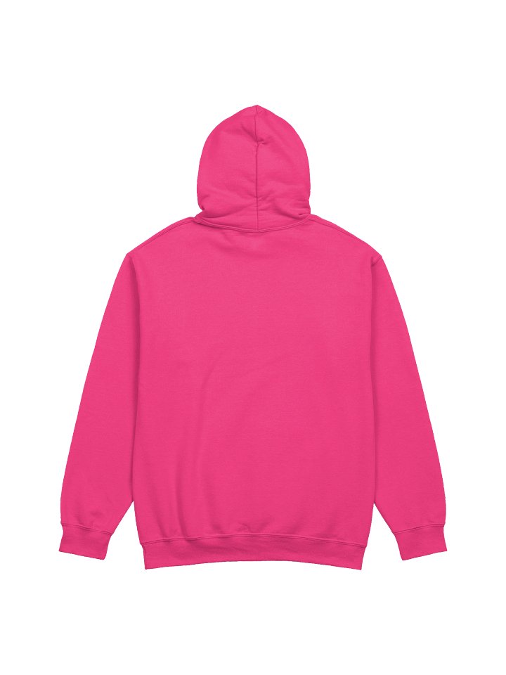 Proverbs 31 Kind of Woman Hoodie product image (2)