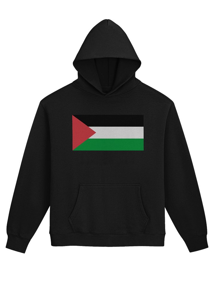 Palestine Hoodie product image (1)