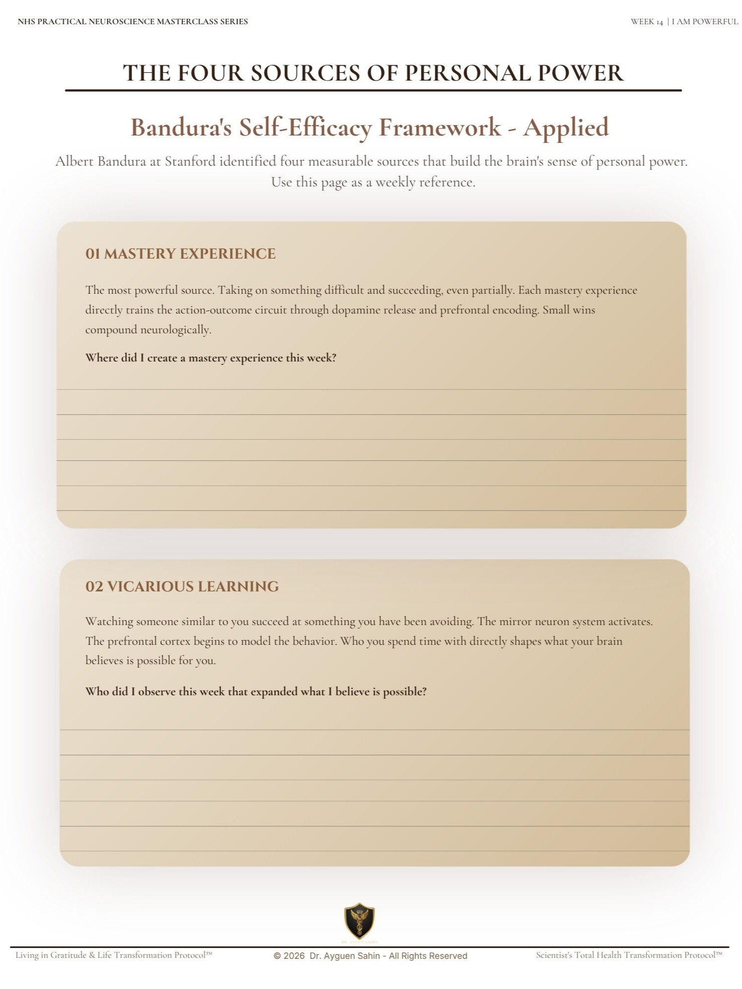 PERSONAL POWER AUDIT product image (3)