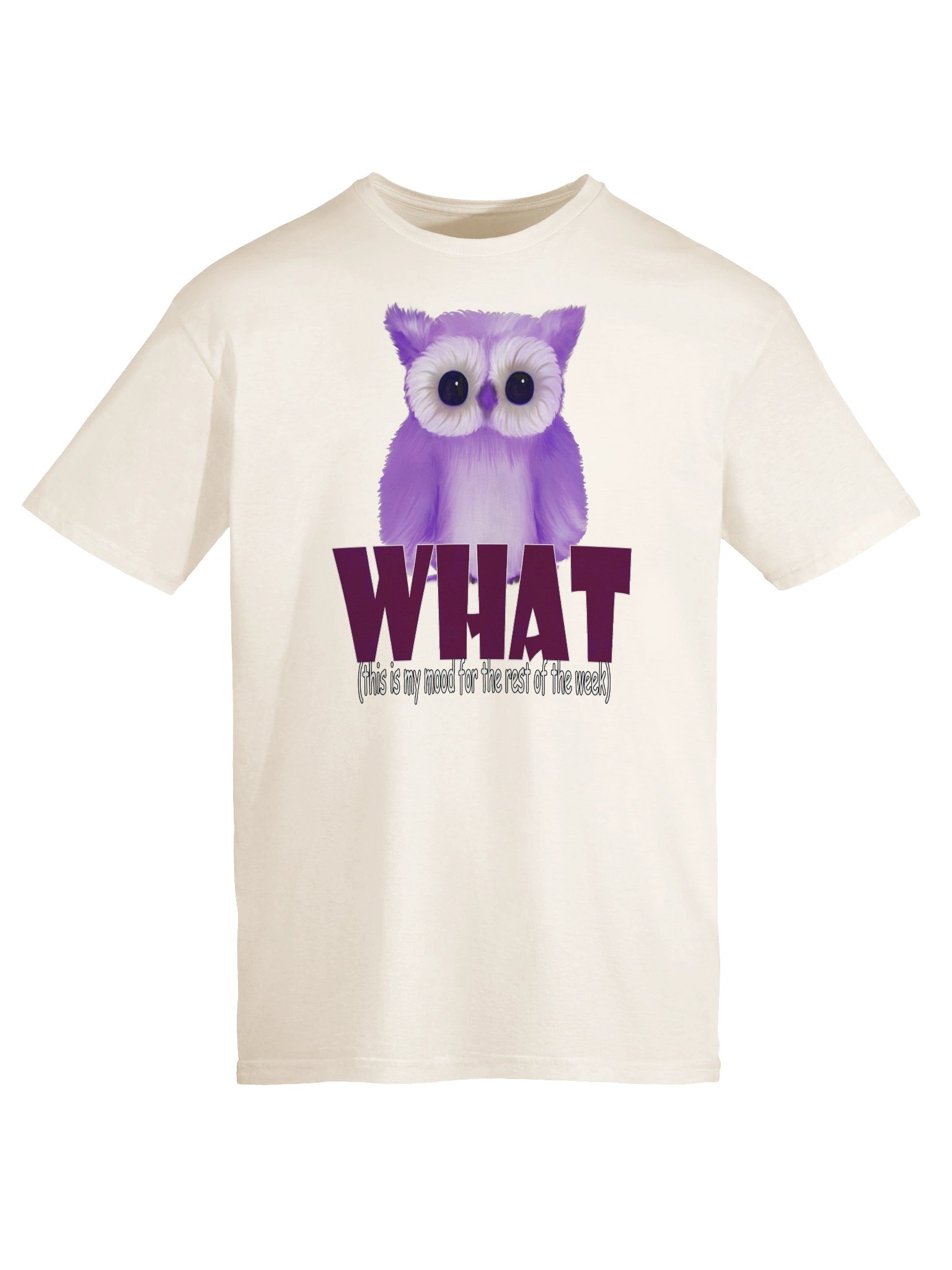 Unisex Gildan Softstyle T-Shirt product image (13)