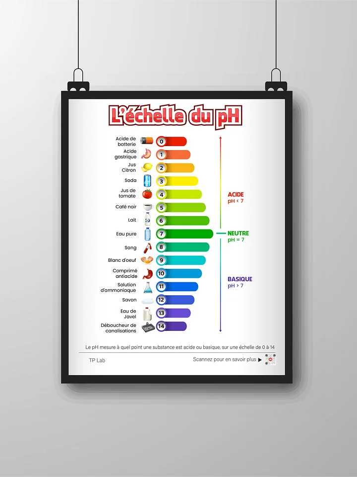 L’échelle du pH – Poster éducatif et décoratif product image (2)