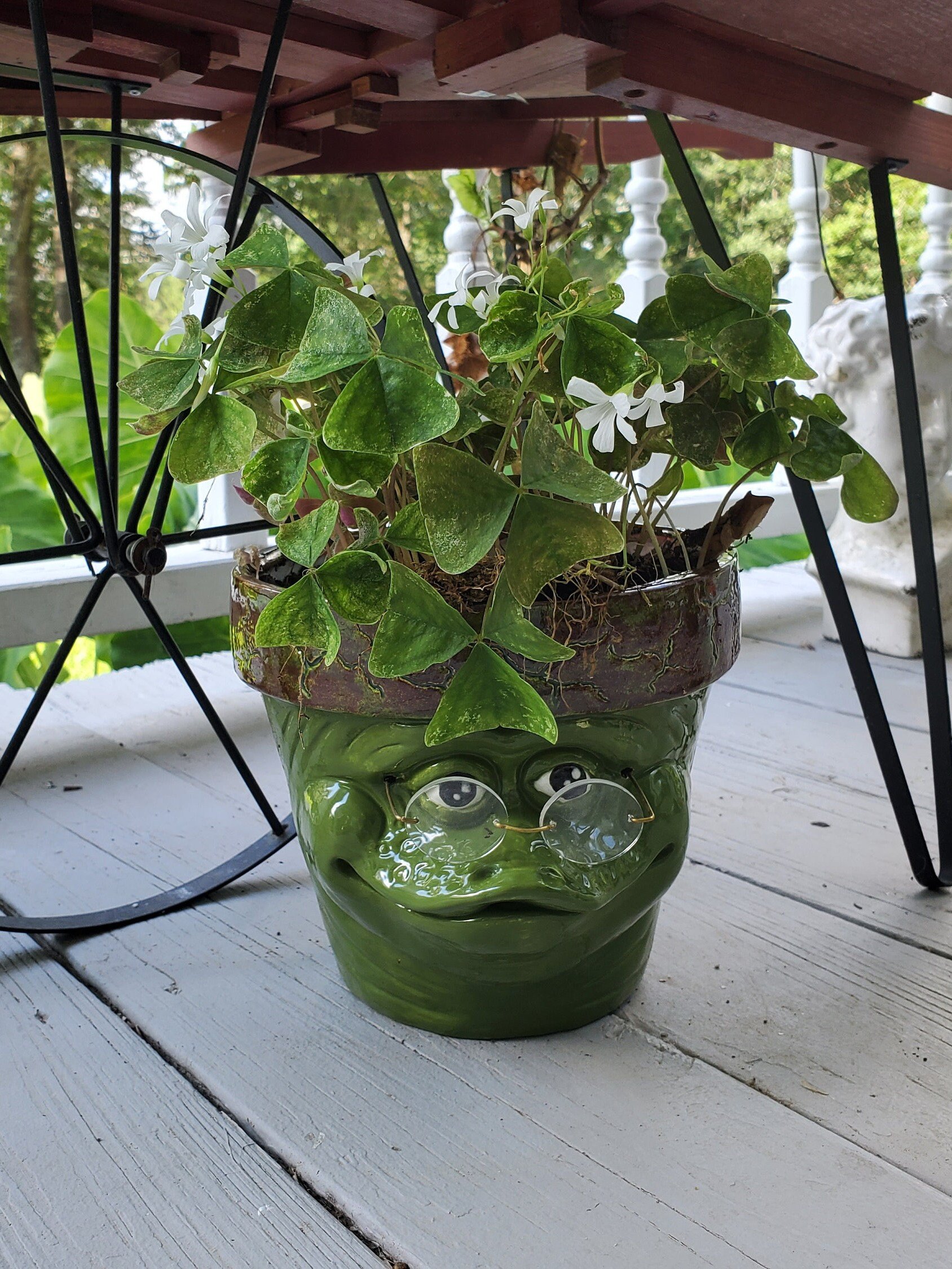 Wise frog planter, garden planter, flowerpot, ceramic product image (5)
