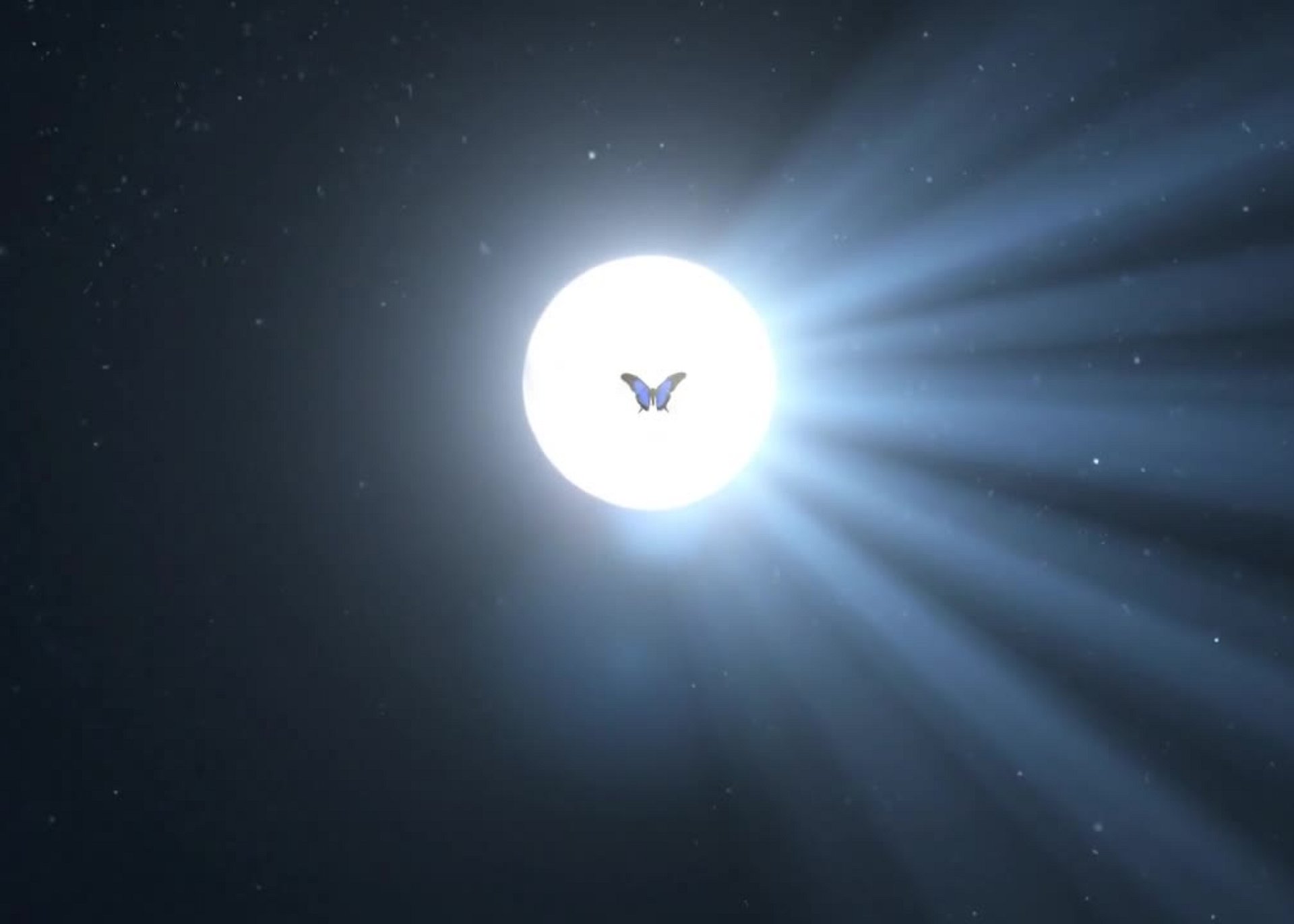 In Eternal Light: Condolence product image (4)