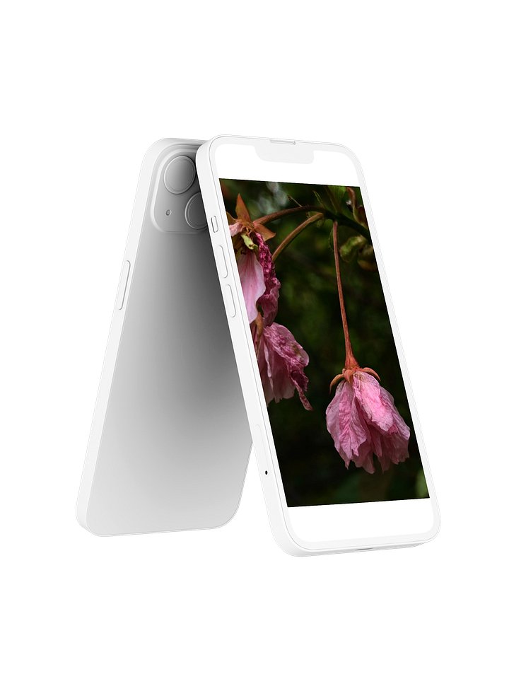 wilted cherry — phone wallpaper | from "holding" | eza product image (2)