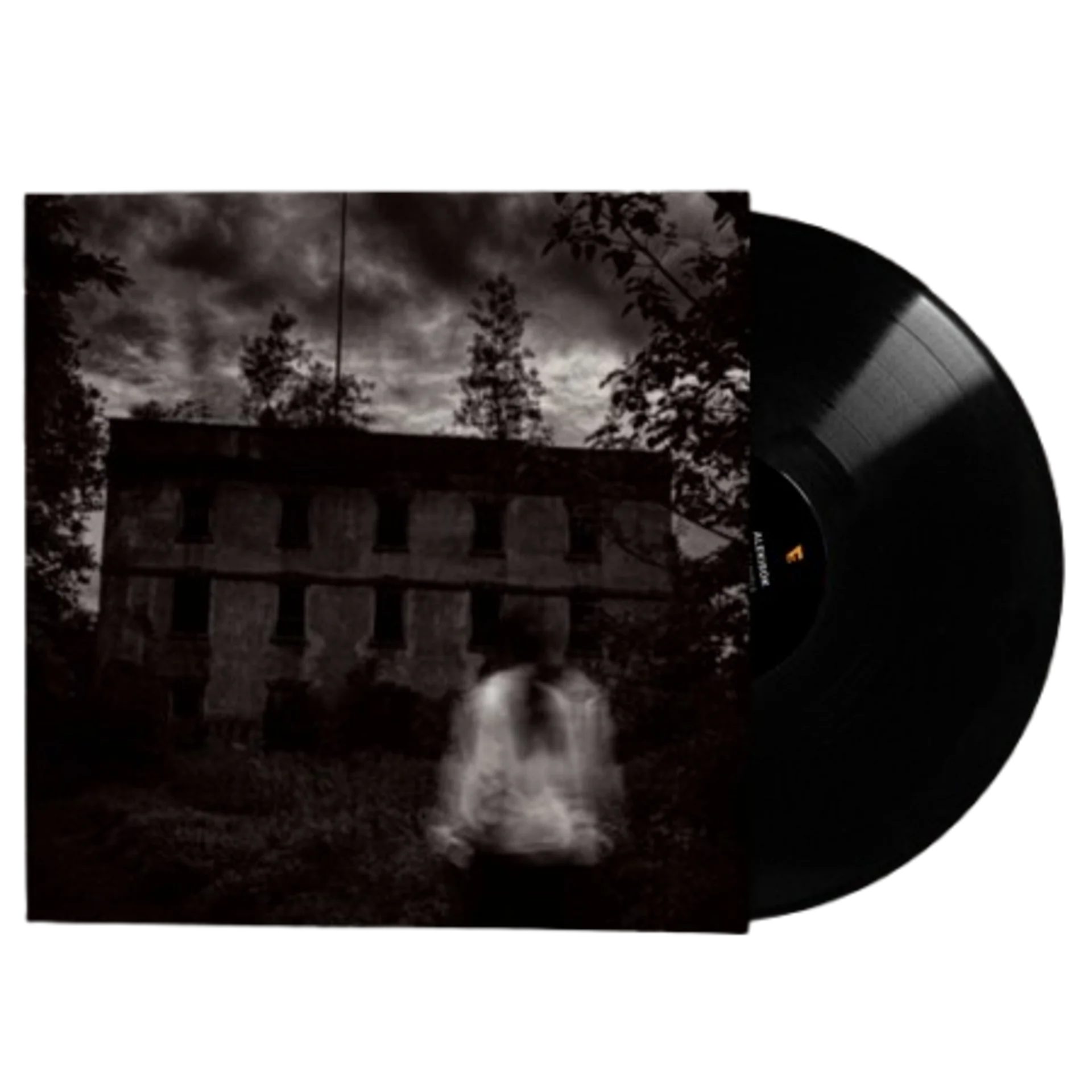 LOWER LEVELS VINYL product image (1)