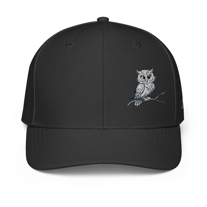 Whimsical Owl Illustration Cap product image (1)