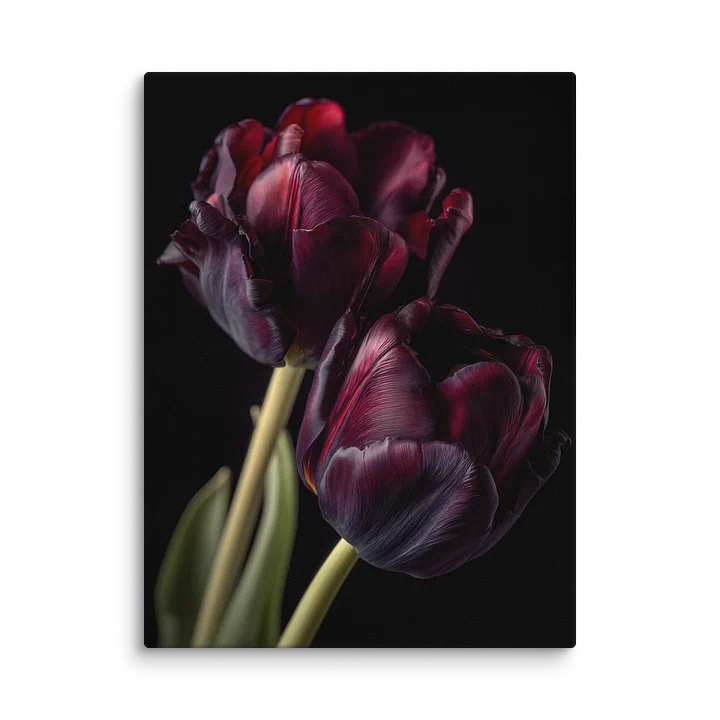 Tulips After Dusk III — Carmine Duet Canvas product image (2)