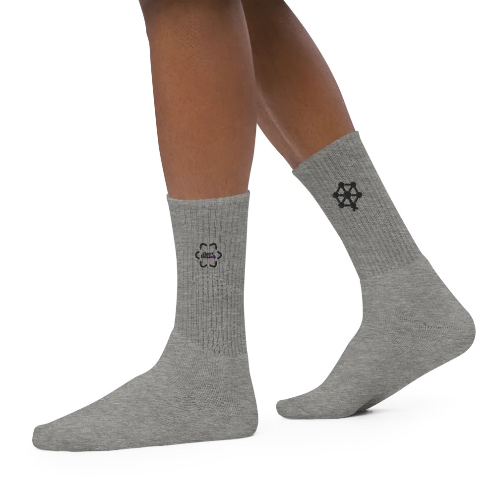 RB Embroidered Socks in Gray product image (8)