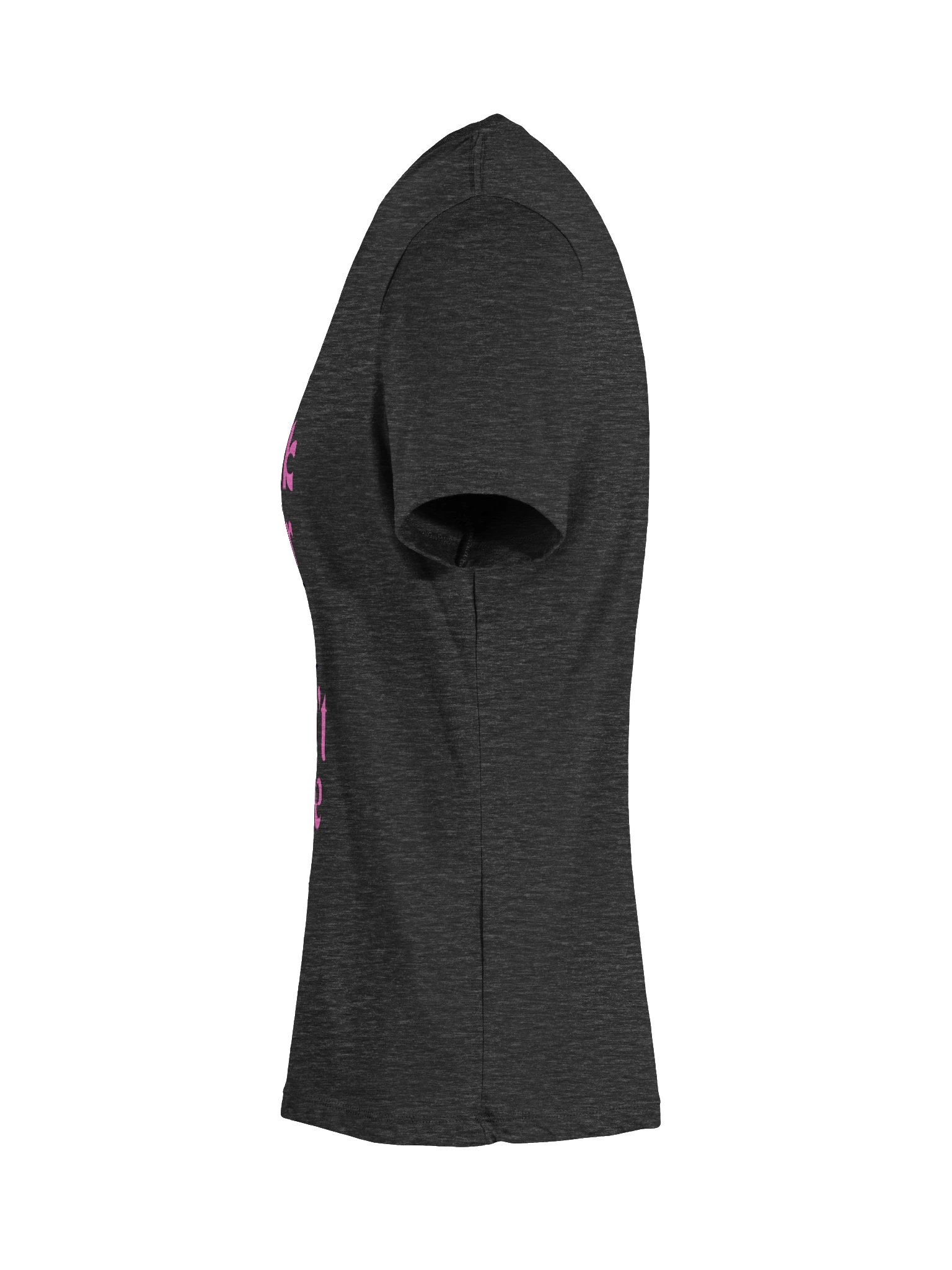 Messy Hair, Clean Laps Ladies Tee product image (30)