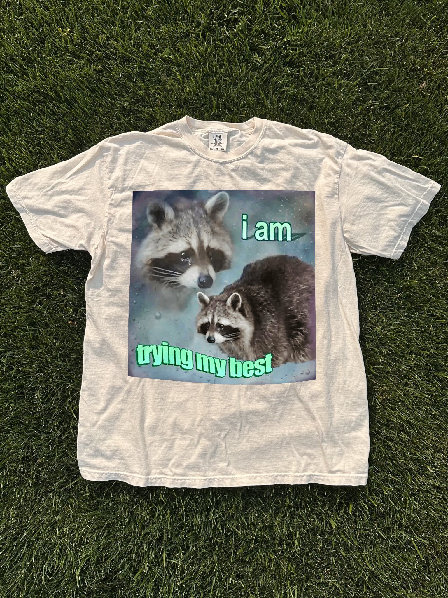 I Am Trying My Best Shirt product image (1)