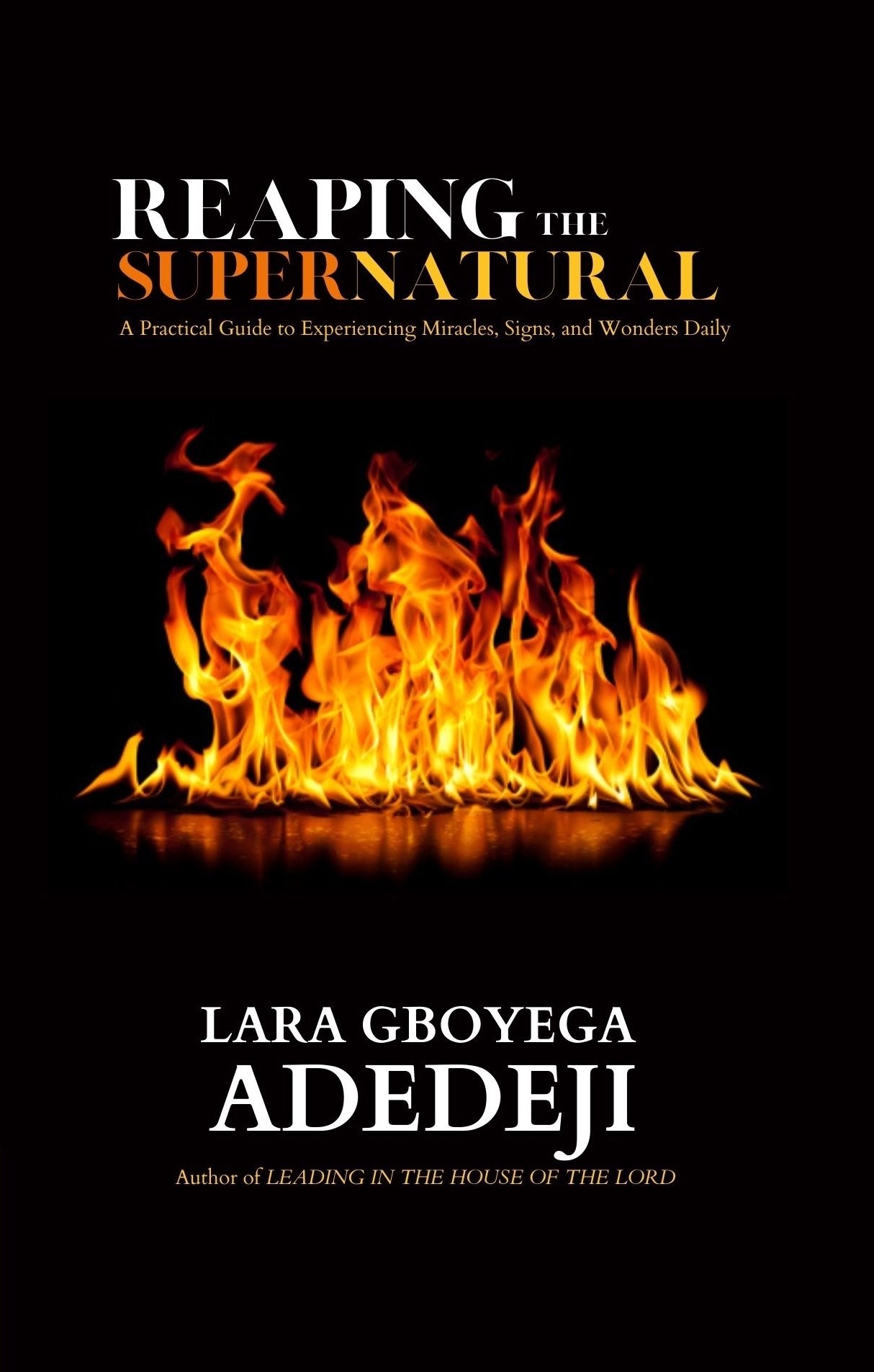 Reaping the Supernatural: A Practical Guide to Experiencing Miracles, Signs, and Wonders Daily product image (1)