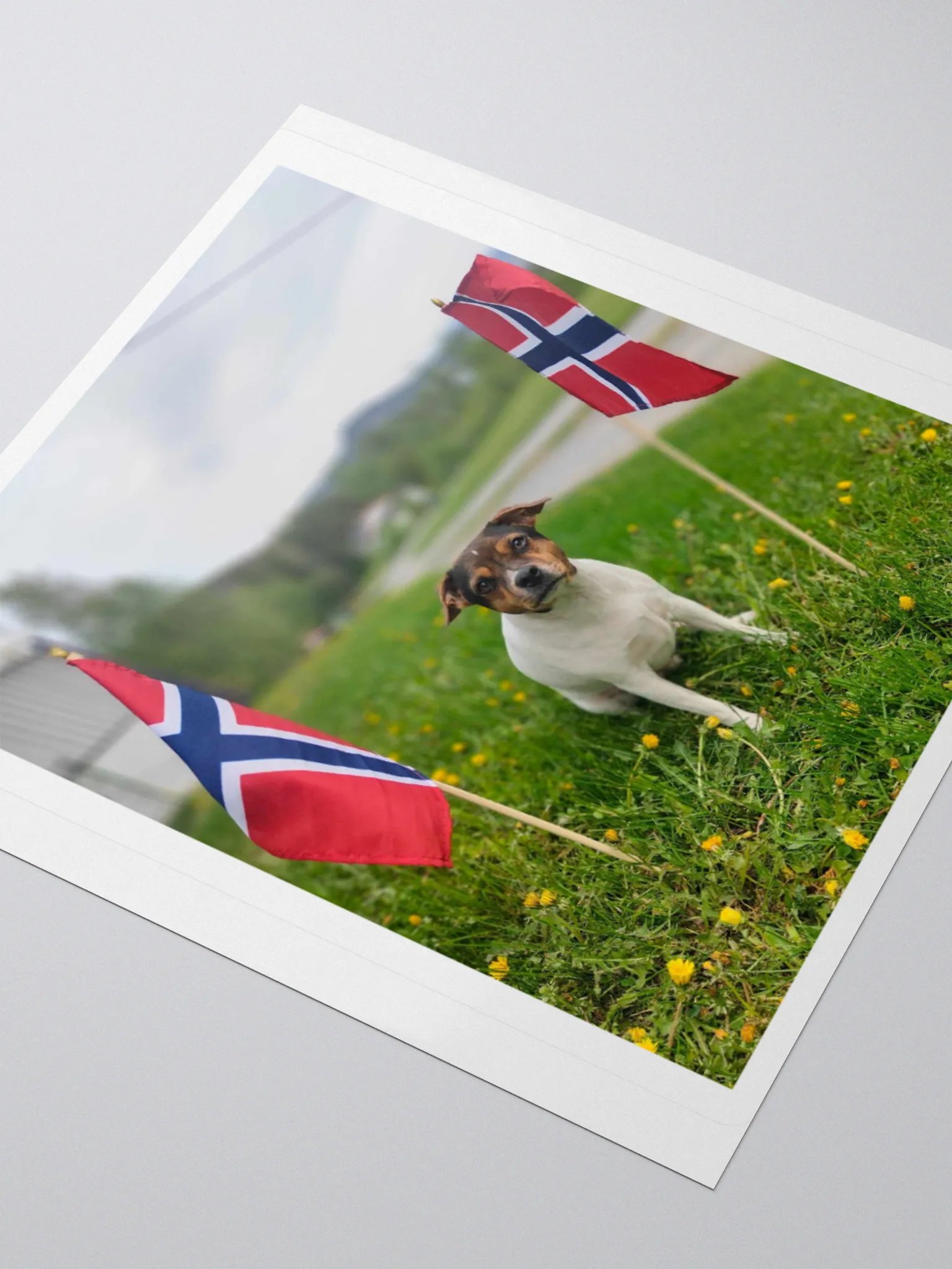 Bella stickers product image (9)