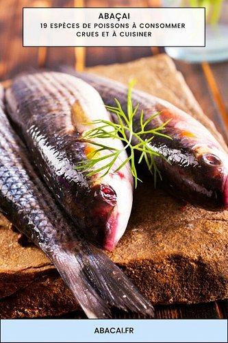 Le Guide Complet sur les Poissons : Quels sont les poissons préférés des Français, de la pêche à l’assiette, pour manger cru ...