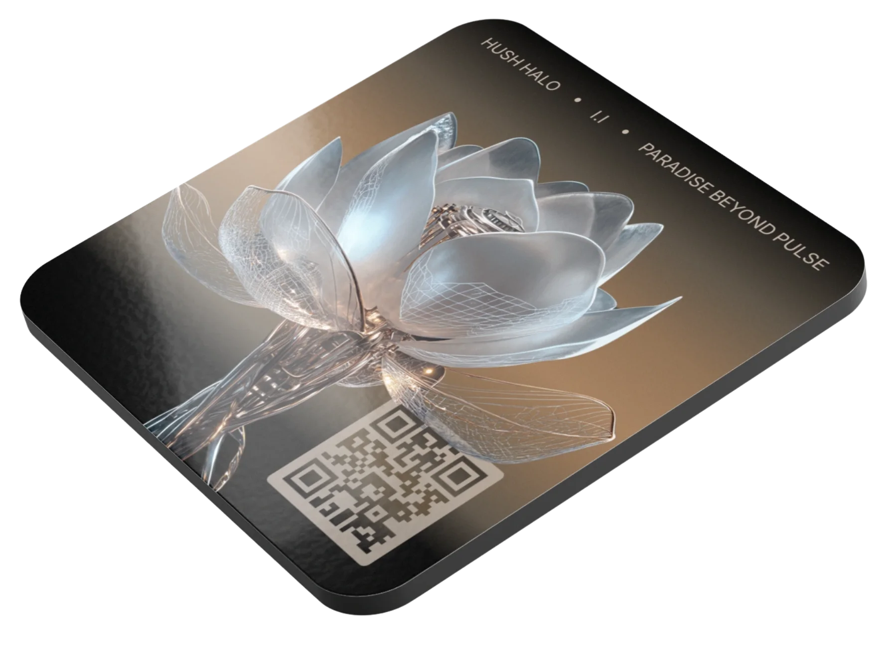 Paradise Beyond Pulse, COASTER + Daily Poetry Experience [AUDIO] product image (6)