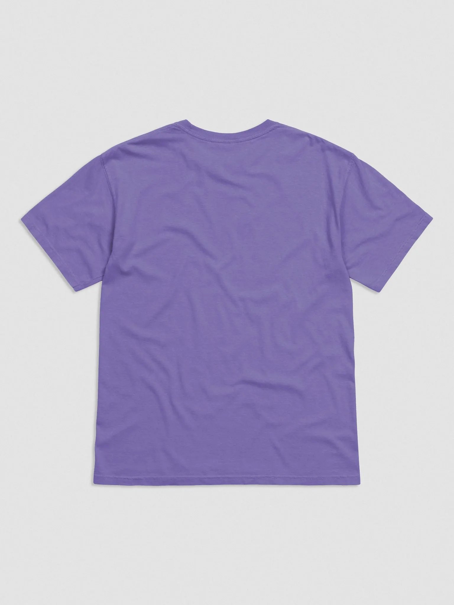 3rd gen palipali | Violet Tee product image (2)